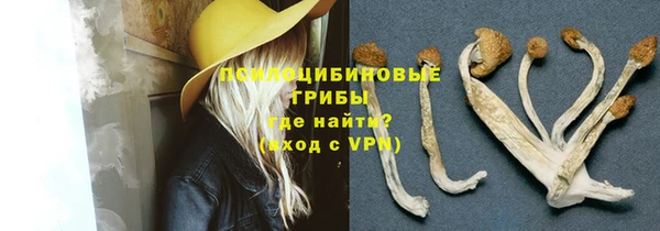 спиды Приозерск