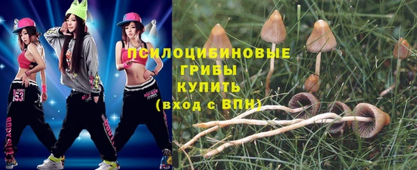 гидра Россошь