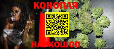 мет Новозыбков
