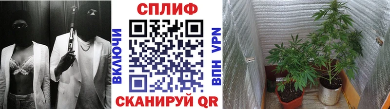 Каннабис ГИДРОПОН  Радужный 